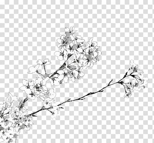 Free download | Manga Flowers ColdLove, black and white flowers drawing ...