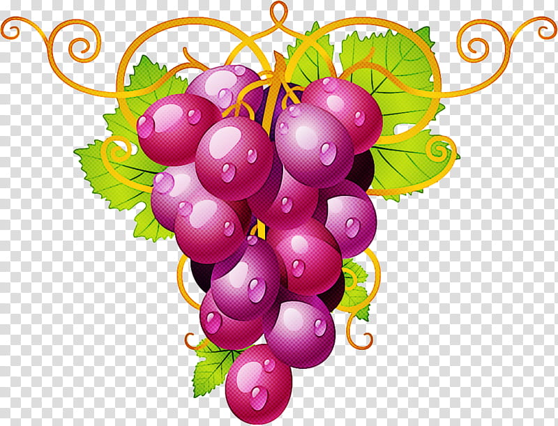 grape seedless fruit grapevine family fruit plant, Vitis, Natural Foods, Currant, Berry, Leaf, Zante Currant, Superfood transparent background PNG clipart