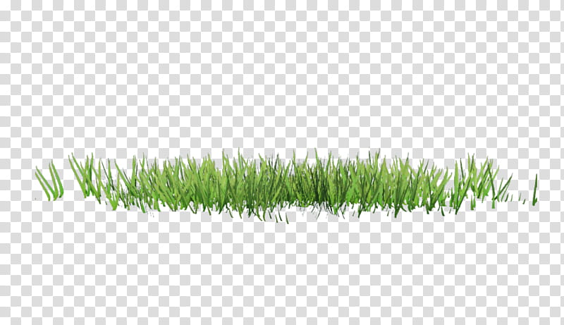 D Spring Grass, green grass transparent background PNG clipart