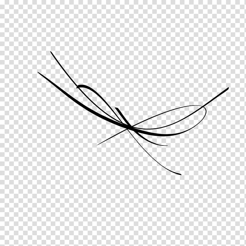 Abstract Lines Brushes, black twisted line graphic art transparent background PNG clipart