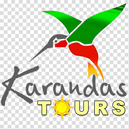 Sea Bird, Karandas Tours, Redbilled Streamertail, Bus, Hummingbird, Airport Bus, Beak, Transport transparent background PNG clipart