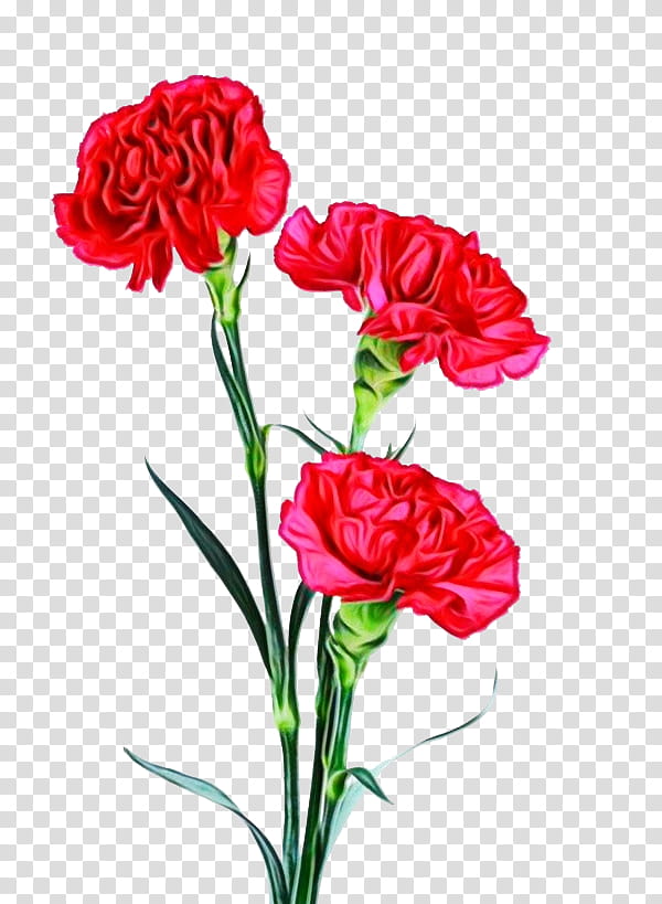 Lily Flower, Garden Roses, Flower Bouquet, Red, Clove, Transvaal Daisy, Carnation, Floral Design transparent background PNG clipart