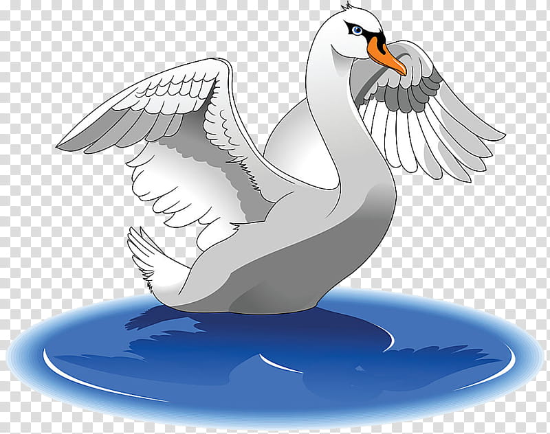 bird wing beak swan seabird, Puffin, Stork transparent background PNG clipart