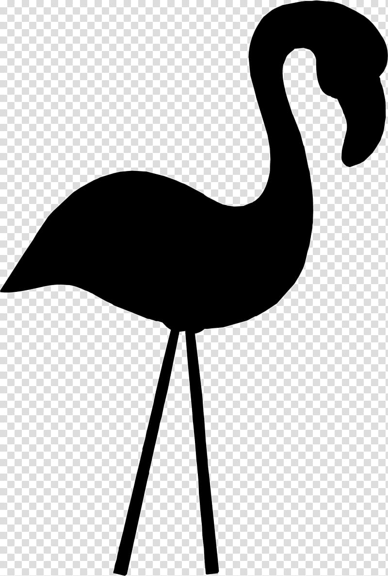 Flamingo Silhouette, Bird, Crane, Beak, Wing, Water Bird, Line, Greater Flamingo transparent background PNG clipart