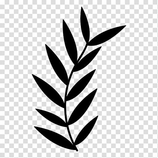 Black And White Flower, Black White M, Plant Stem, Flora, Leaf, Youtube, Plants, Line transparent background PNG clipart