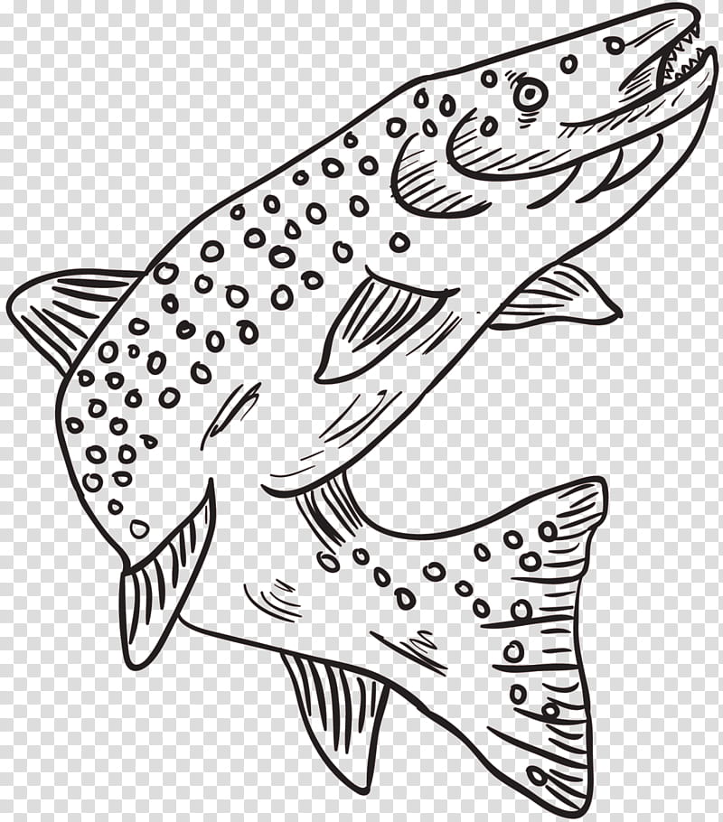 Book Black And White, Line Art, Fish, Shoe, Black White M, Cartoon, Beak, Brown Trout transparent background PNG clipart