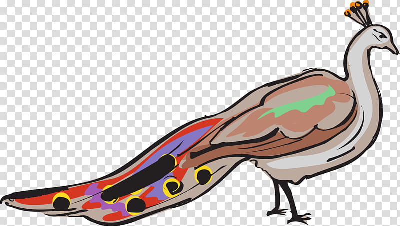 Bird, Peafowl, Drawing, Bird Illustrations, Plumage, Feather, Beak transparent background PNG clipart