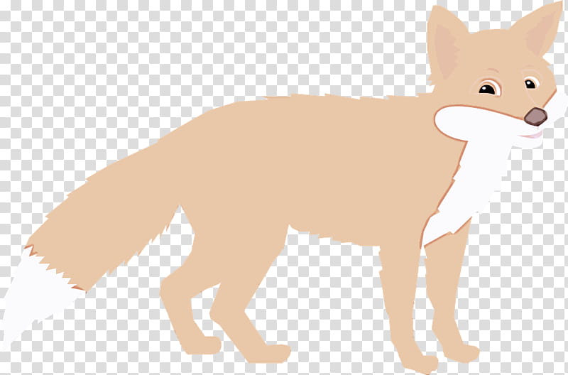 fennec fox red fox fox swift fox tail, Cartoon, Wildlife transparent background PNG clipart
