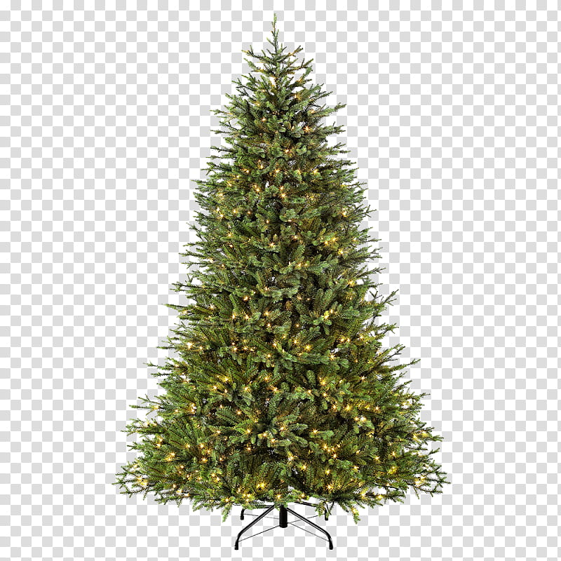 Christmas Black And White, Fraser Fir, Artificial Christmas Tree, Prelit Tree, Christmas Day, National Tree Company, Vickerman, Tree Classics transparent background PNG clipart