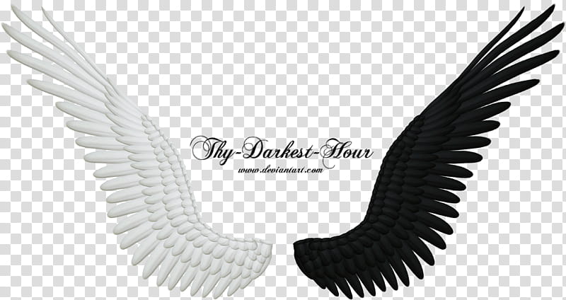 Good Evil Wings , white and black angel wings illustration transparent background PNG clipart