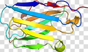 Line, Yellow, Area transparent background PNG clipart thumbnail
