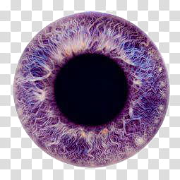 Ojitos creados por MI RAR, purple eye transparent background PNG clipart