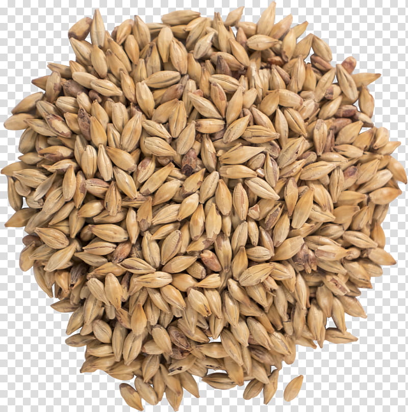 Cartoon Grass, Oat, Beer, Weyermann Malting Company, Ale, Bock, Vegetarian Cuisine, Whole Grain transparent background PNG clipart