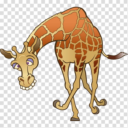 Giraffe, Northern Giraffe, Cartoon, Drawing, Fauna Of Africa, Giraffidae, Wildlife, Snout transparent background PNG clipart