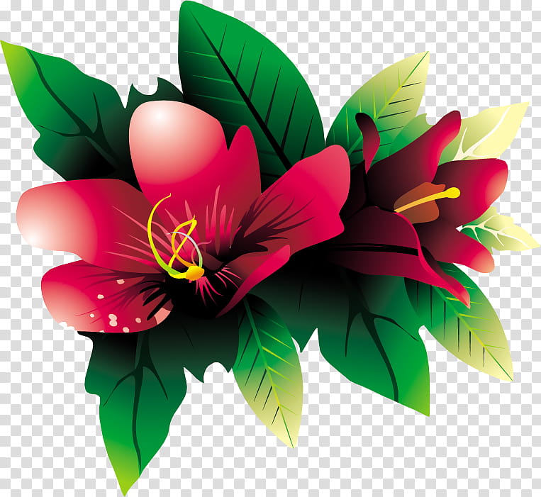 Tropical Flower HQ, maroon flowers and green leaves transparent background PNG clipart