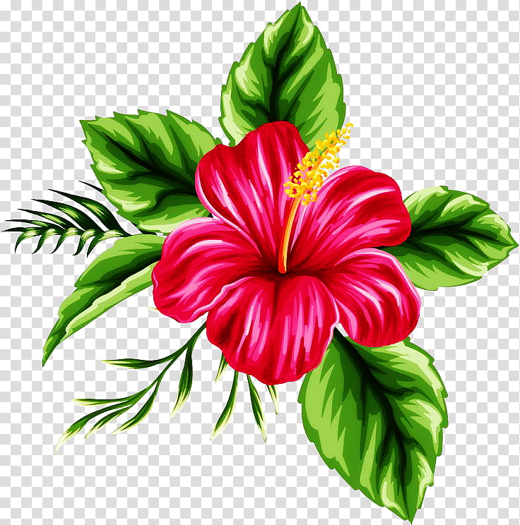 Tropical, red and yellow flower illustration transparent background PNG clipart