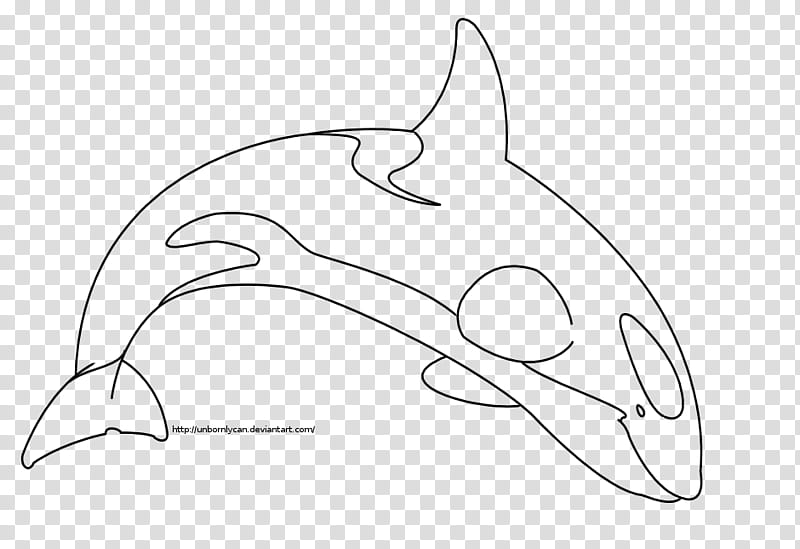 Orca Line Art, white dolphin illustration transparent background PNG clipart
