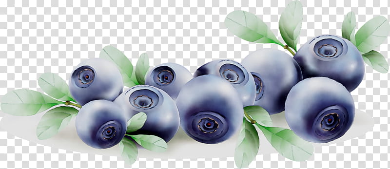 Flowers, Bilberry, Blueberry, Body Jewellery, Cut Flowers, Human Body, Plant, Fruit transparent background PNG clipart