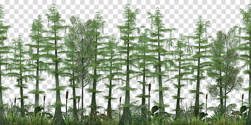 MMD Skybox Crocodile Isle transparent background PNG clipart