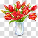 Iconos BHR , {BeHappyRawr} (), red flowers flower arrangement in vase transparent background PNG clipart