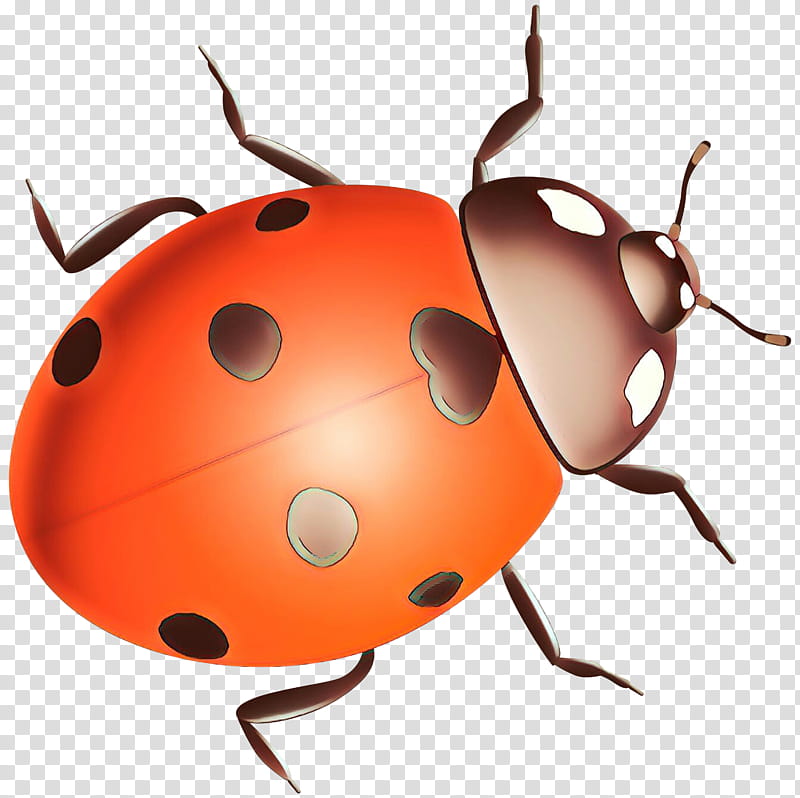 Ladybird, Ladybird Beetle, Pest, Snout, Membrane, Insect, Ladybug, Red Bugs transparent background PNG clipart