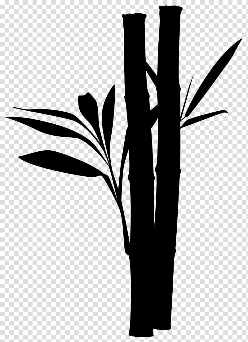 Family Tree, Auvergne, Flower, Plant Stem, Plants, Branching, Leaf, Grass Family transparent background PNG clipart