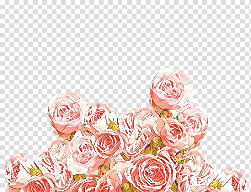 Garden roses, Cartoon, Pink, Flower, Cut Flowers, Rose Family, Plant, Rose Order transparent background PNG clipart
