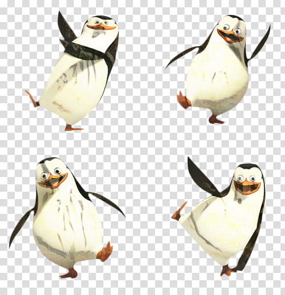 Cartoon Bird, Penguin, Madagascar, Beak, Animal, Penguins Of Madagascar, Flightless Bird, Gentoo Penguin transparent background PNG clipart