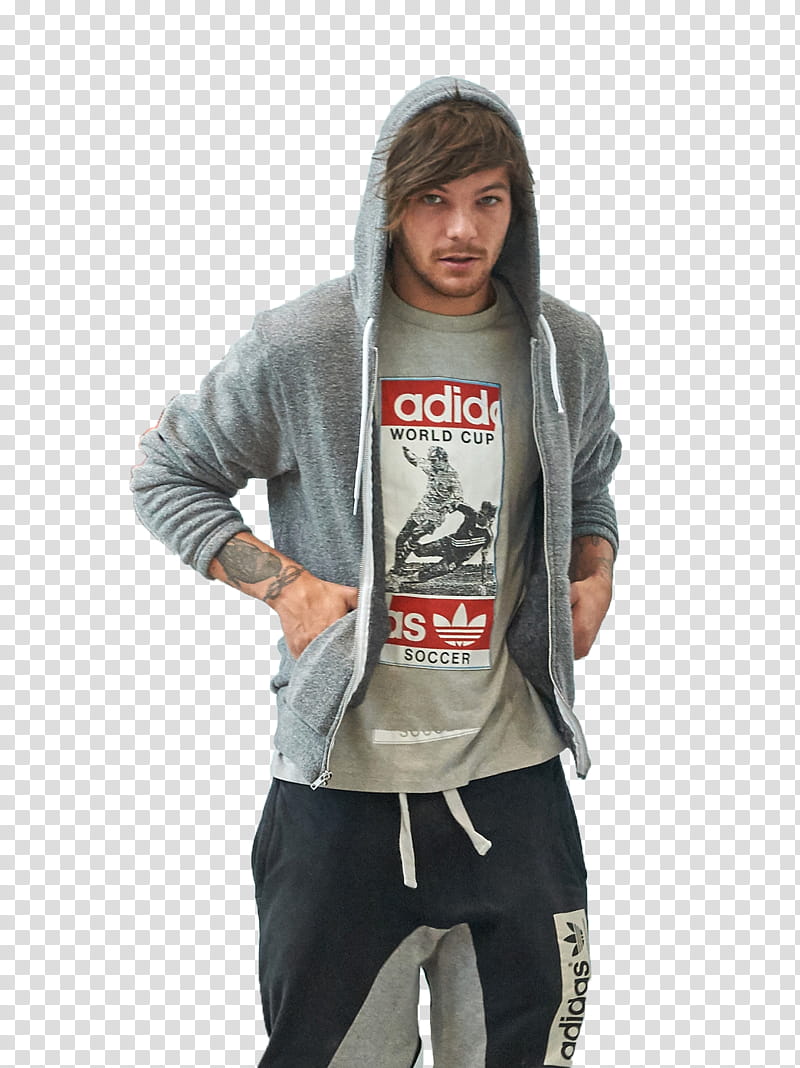 BIENVENIDA DE RECURSOS, Louis Tomlinson transparent background PNG clipart