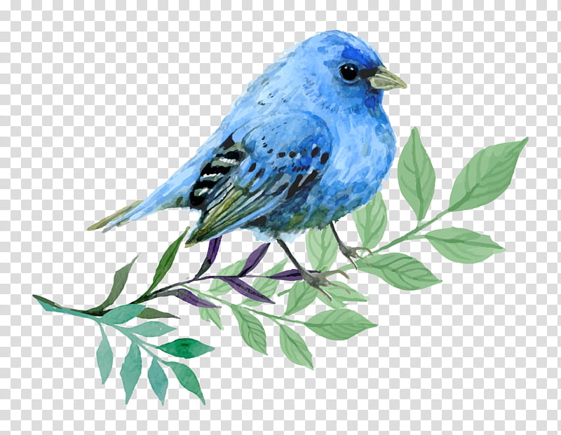 Cardinal Bird, Bluebirds, Watercolor Painting, American Sparrows, Cartoon, Beak, Mountain Bluebird, Indigo Bunting transparent background PNG clipart