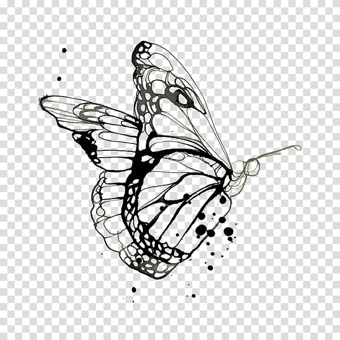 Monarch Butterfly Drawing, Coloring Book, Tattoo, Line Art, Painting, Temporary Tattoos, Body Art, Mehndi transparent background PNG clipart