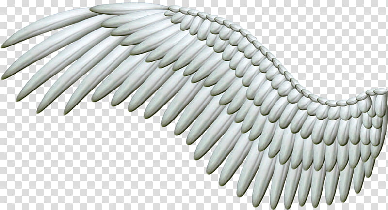 Spread Silver Wings, angel wing illustration transparent background PNG clipart