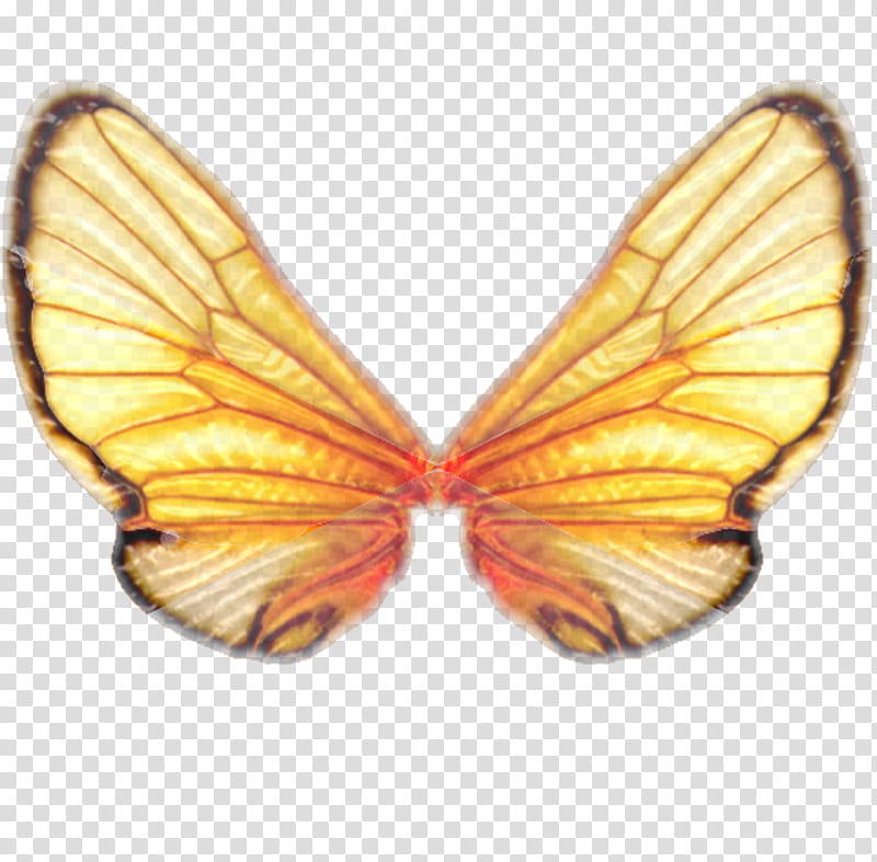 butterfly wings, brown and red butterfly wings transparent background PNG clipart