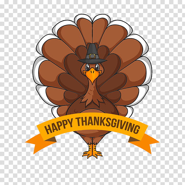 Thanksgiving Day Background Design, Turkey Meat, Beak, Bird, Logo, Wing, Bird Of Prey transparent background PNG clipart