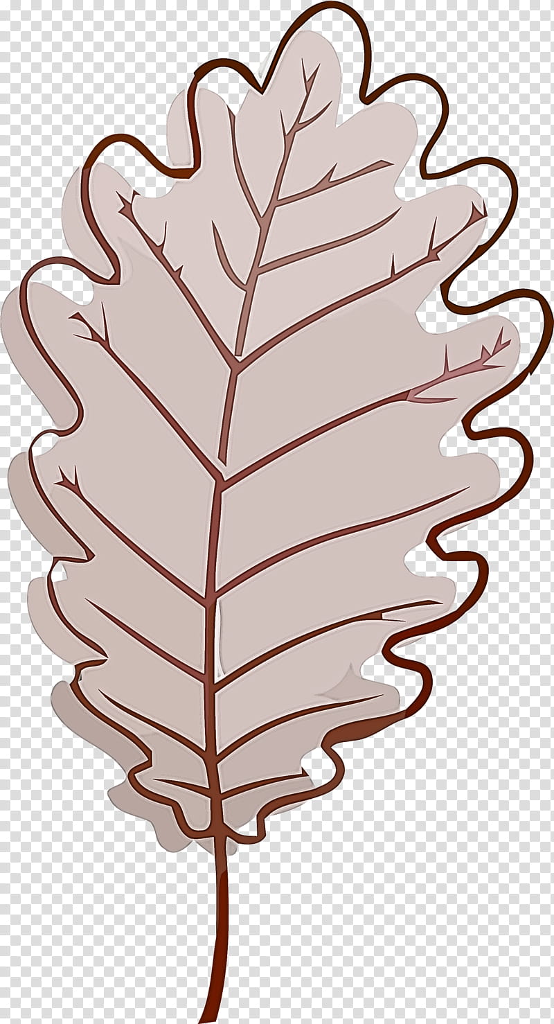 autumn leaf yellow leaf leaf, Plant, Vascular Plant, Tree, Fern transparent background PNG clipart