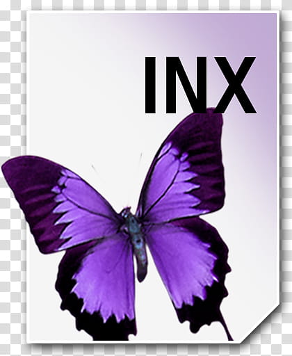Adobe Neue Icons, INX__, INX logo with purple butterfly transparent background PNG clipart