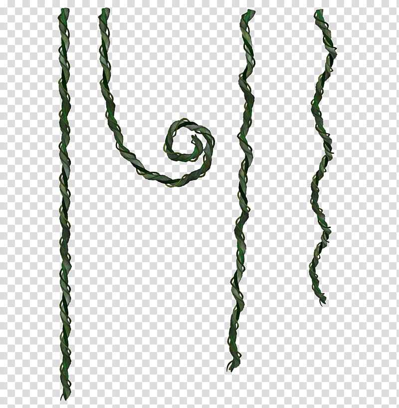 vines, green rope transparent background PNG clipart