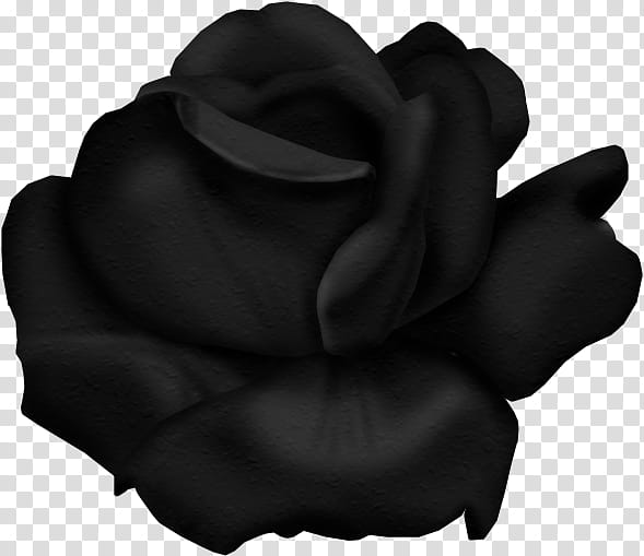 Noir Taggers Scrapkit, black flower illustration transparent background PNG clipart