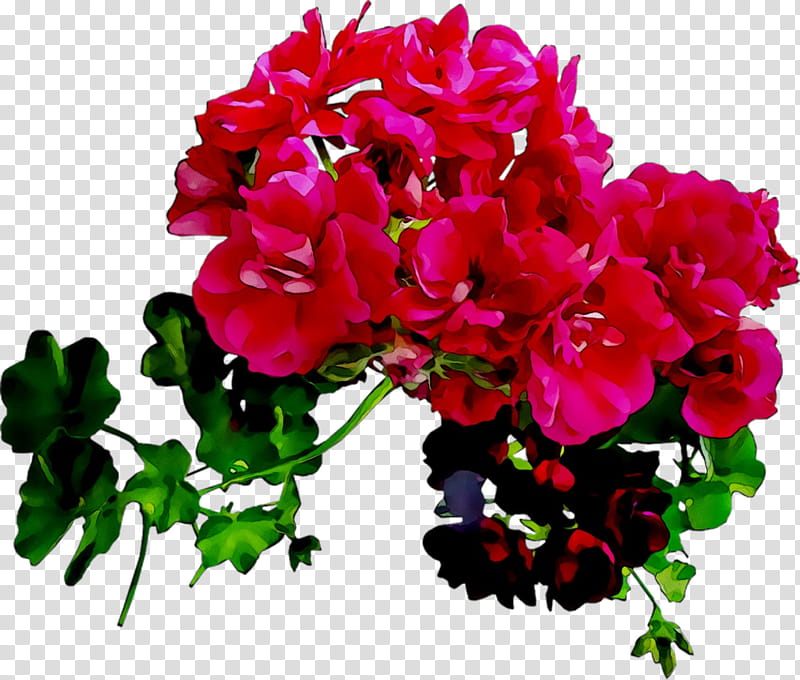 Pink Flowers, Cranesbill, Floral Design, Cut Flowers, Flower Bouquet, Annual Plant, Herbaceous Plant, Pink M transparent background PNG clipart