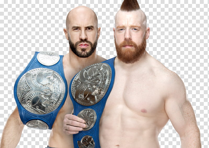 The Bar SD Tag Team Champions NEW  HD transparent background PNG clipart