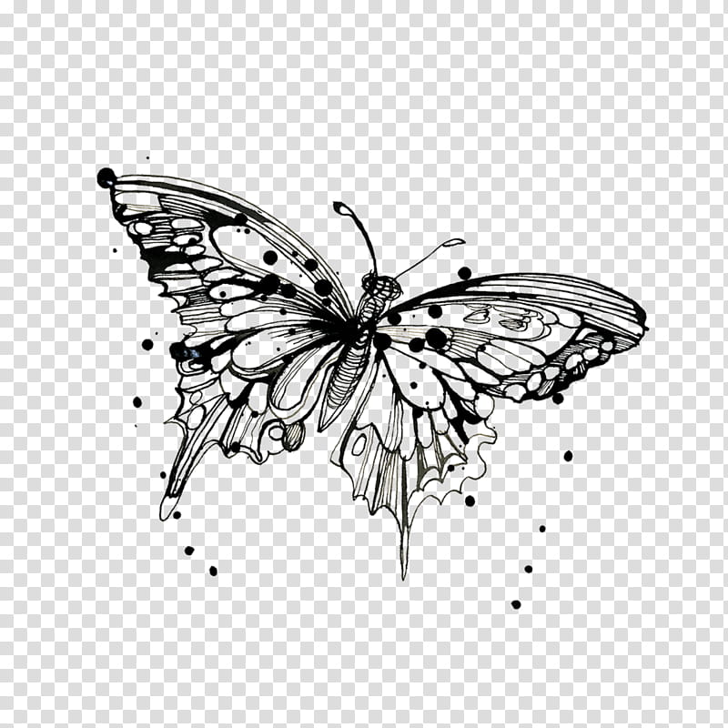 40 Beautiful Butterfly Tattoo Ideas for Women in 2023