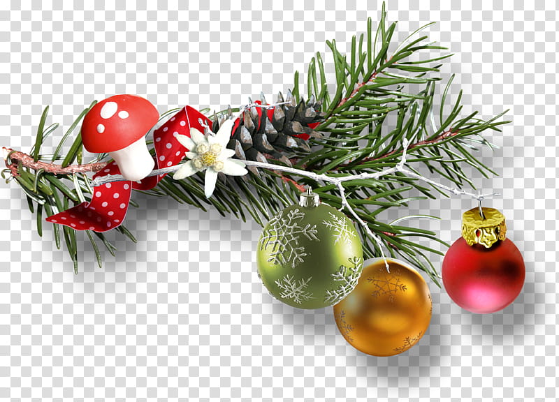 Christmas And New Year, Christmas Day, Television, Gift, Christmas Ornament, Natural Foods, Fruit, Christmas Decoration transparent background PNG clipart
