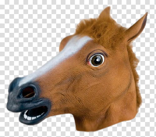 brown horse face transparent background PNG clipart