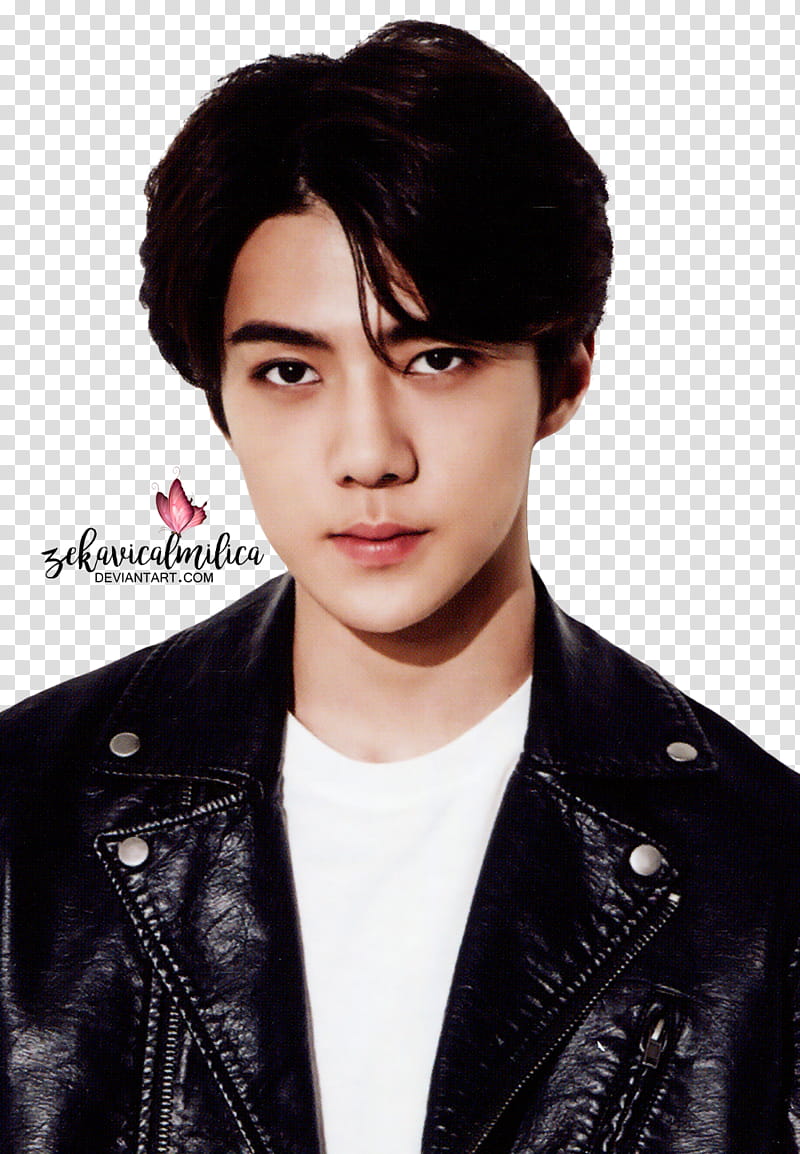 EXO  Season Greetings, man posing for transparent background PNG clipart