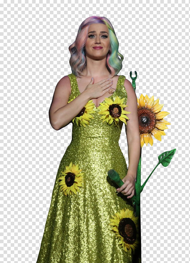 Katy Perry transparent background PNG clipart HiClipart