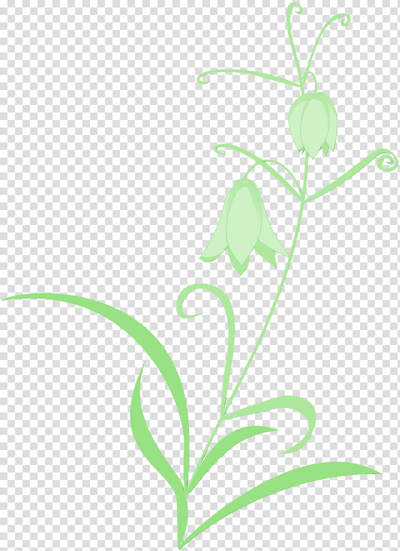 plant flower leaf flowering plant pedicel, Watercolor, Paint, Wet Ink, Grass, Lily Of The Valley, Plant Stem, Fritillaria transparent background PNG clipart