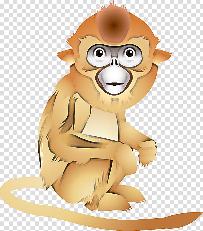 cartoon old world monkey animation, Cartoon transparent background PNG clipart