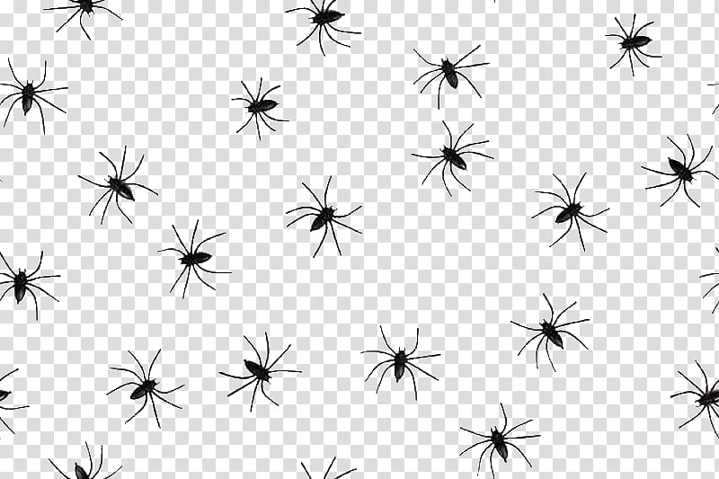 Halloween , illustration of black spiders transparent background PNG clipart