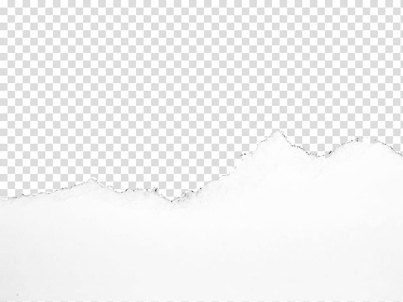 Folha rasgada em  transparent background PNG clipart