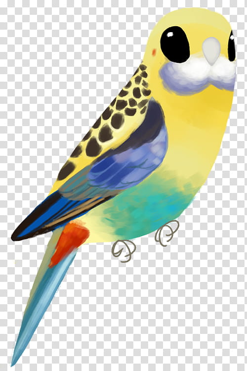 Bird Parrot, Parakeet, Paleheaded Rosella, Lovebird, Macaw, Base64, Feather, Beak transparent background PNG clipart